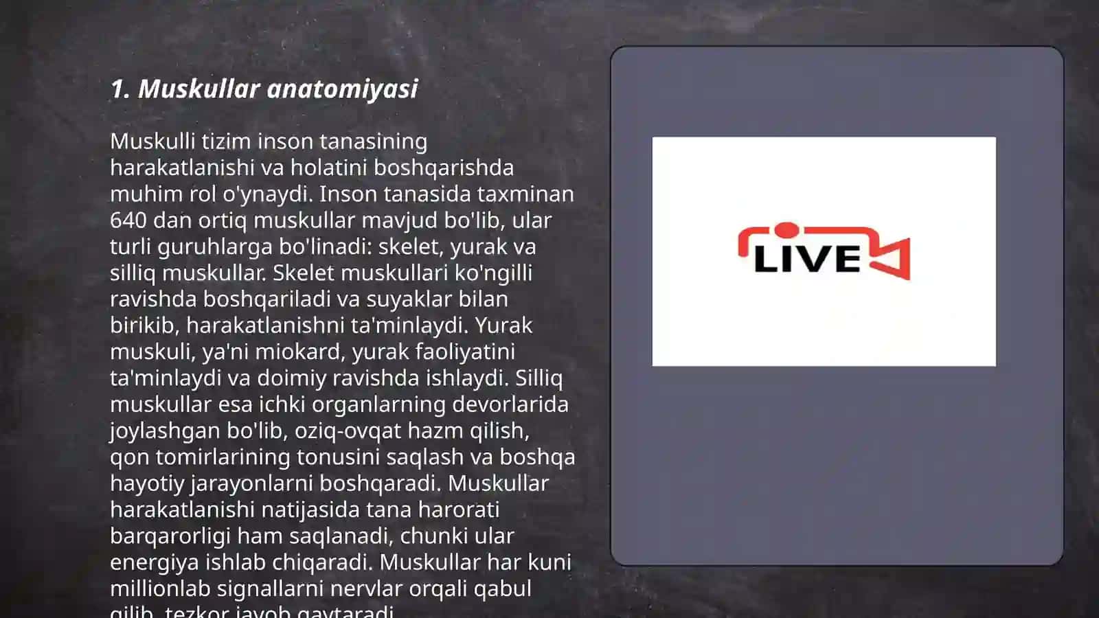 Muskullar anatomiyasi 3
