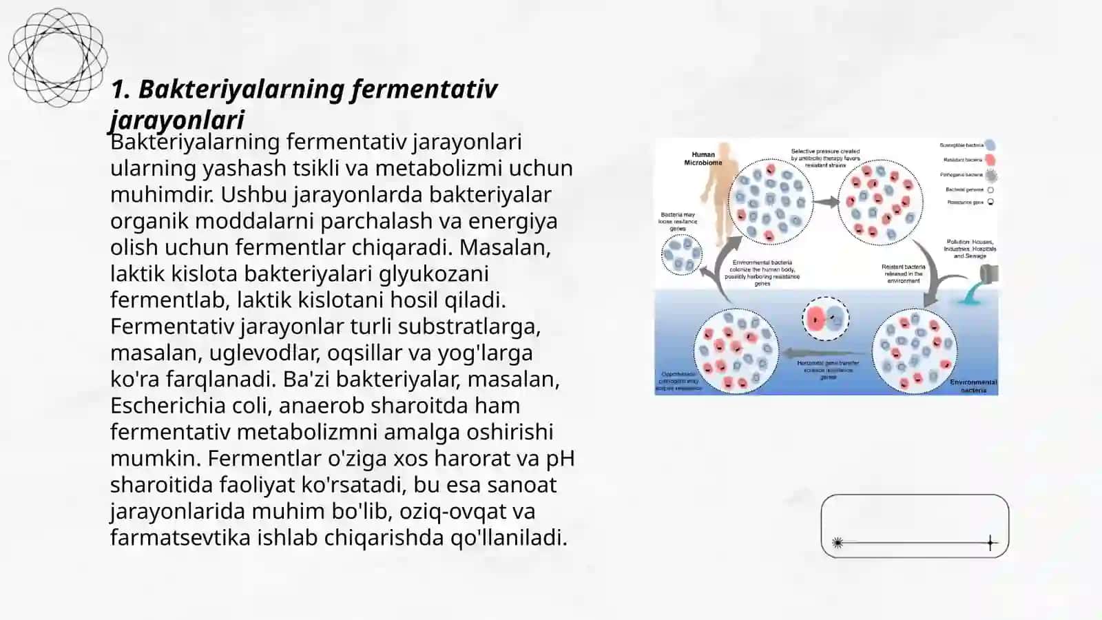 Bakteryalarda fermentativ jarayonlar 3