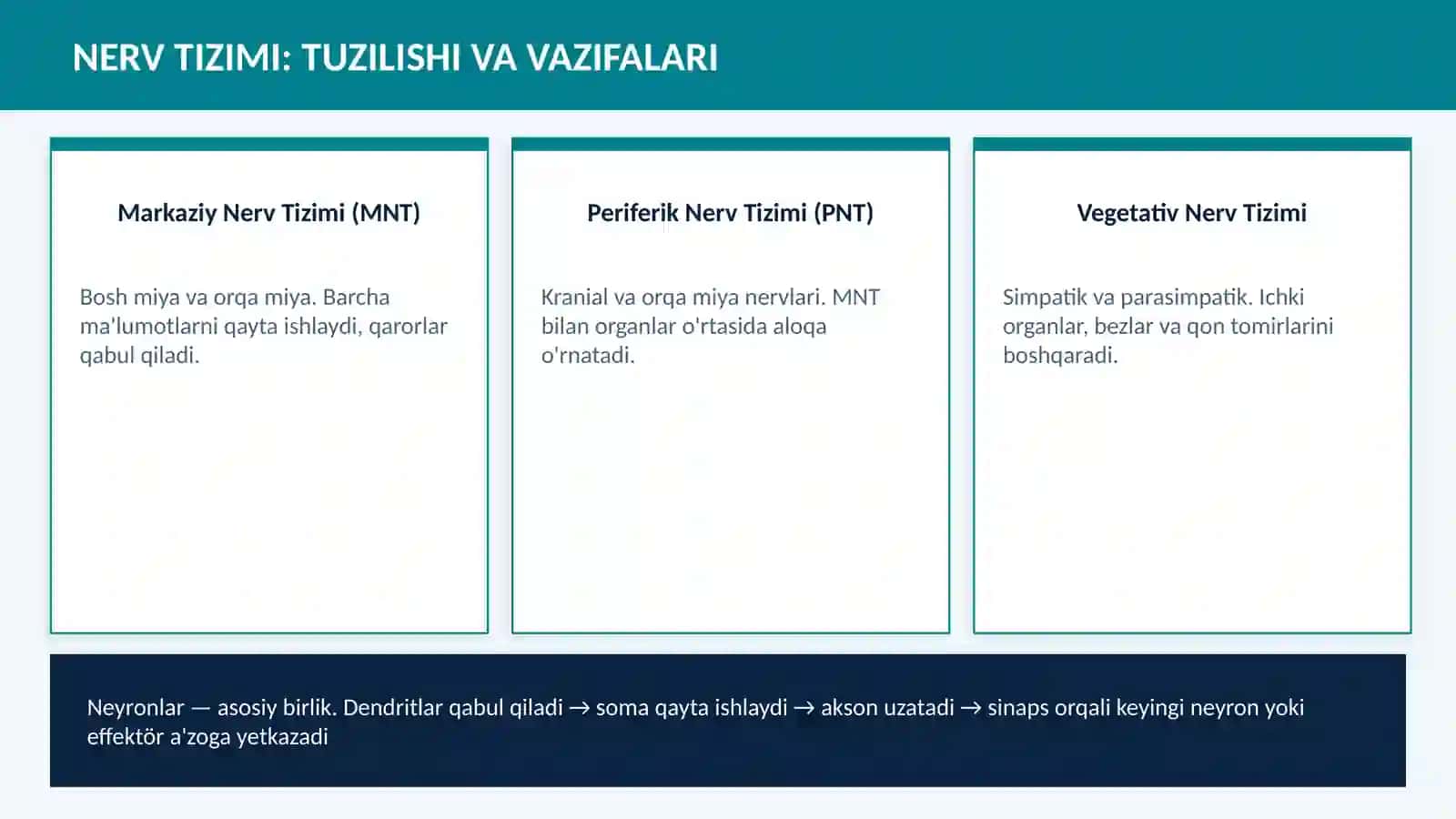 ENDOKRIN VA NERV TIZIMINING ALOQASI 3