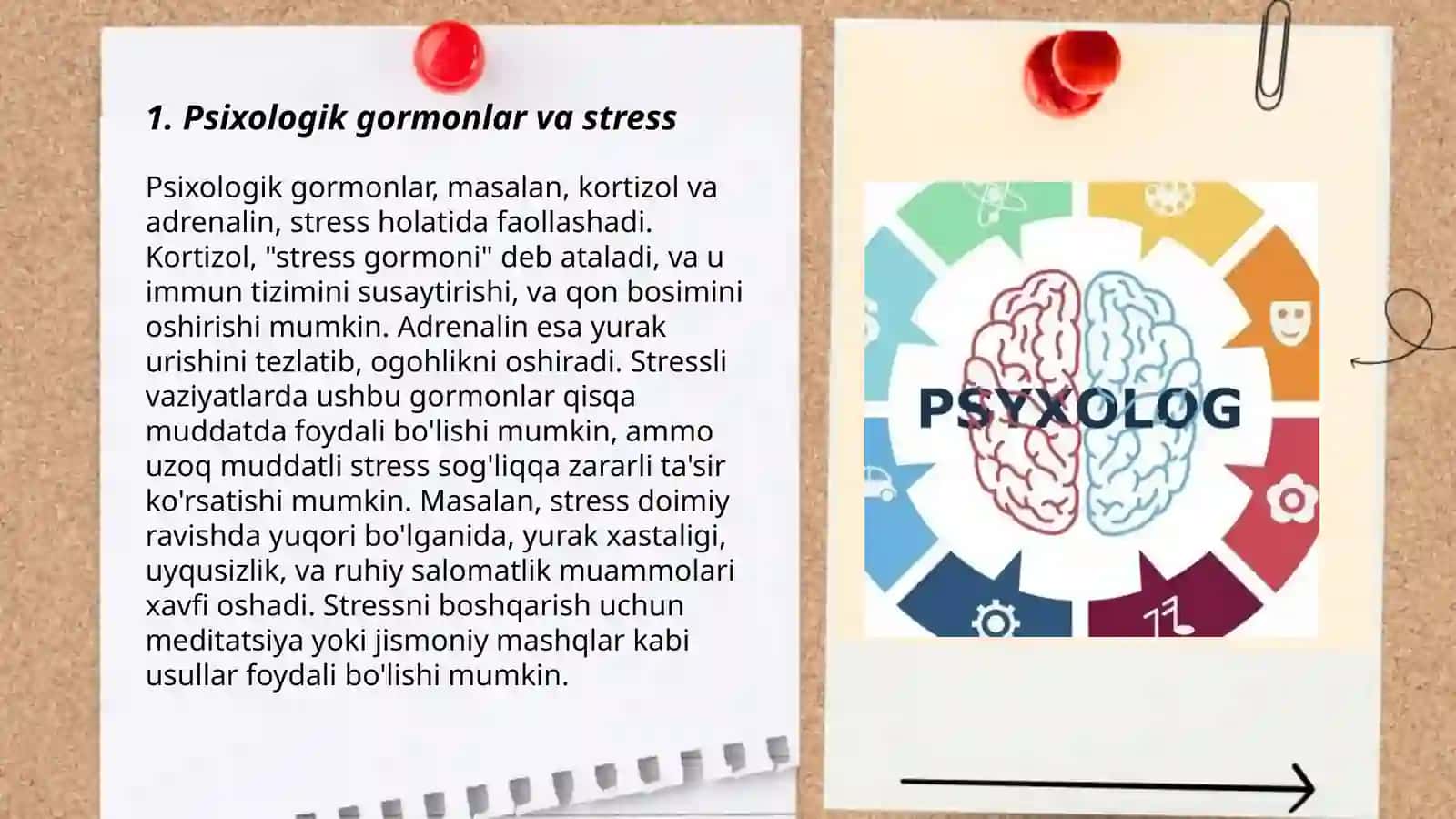 Psixologik gormonlar 3
