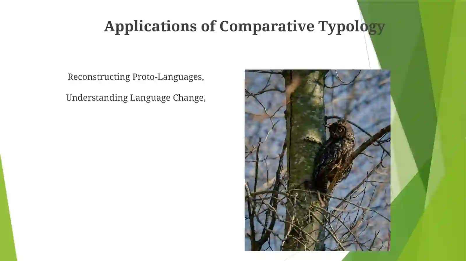 Comparative typology as a branch of comparative linguistics 3