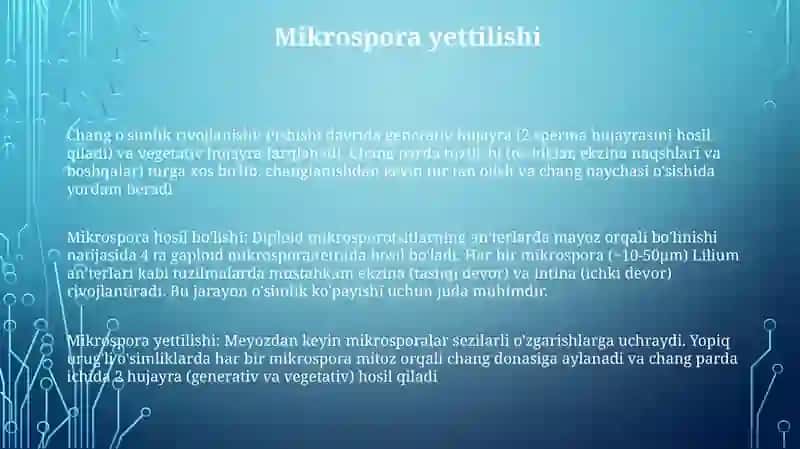 Mikrosporogenez 3