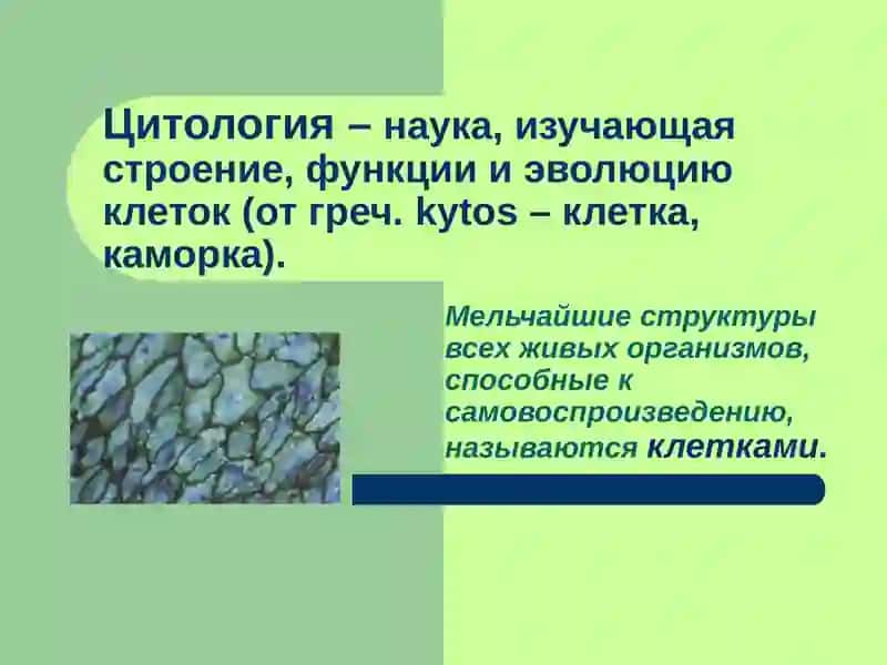 ИСТОРИЯ РАЗВИТИЯ УЧЕНИЯ О КЛЕТКЕ 3