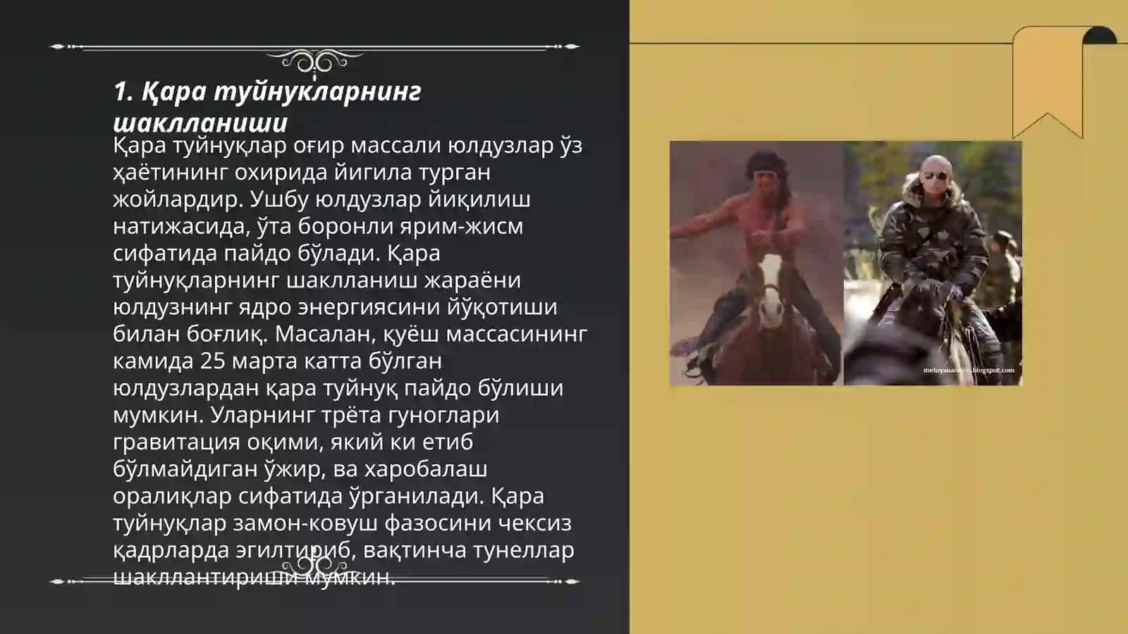 Қара туйнуклар 3