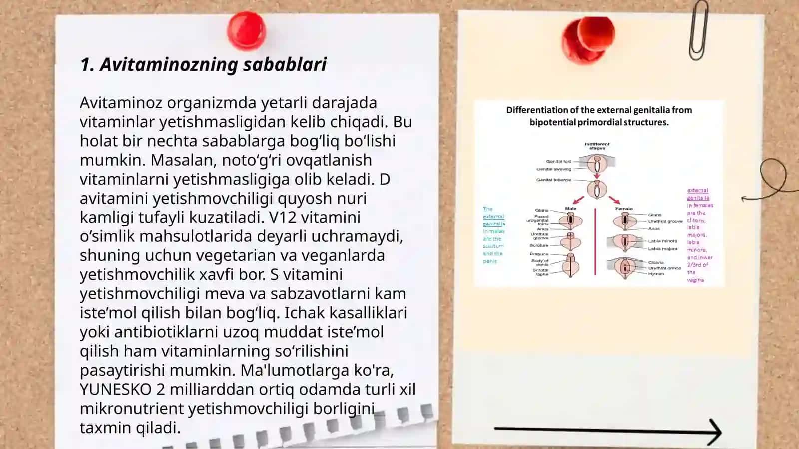 Avitaminoz va gipovitaminozlar 3