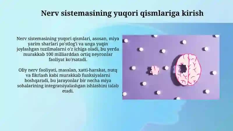 Normal fiziologiya 3