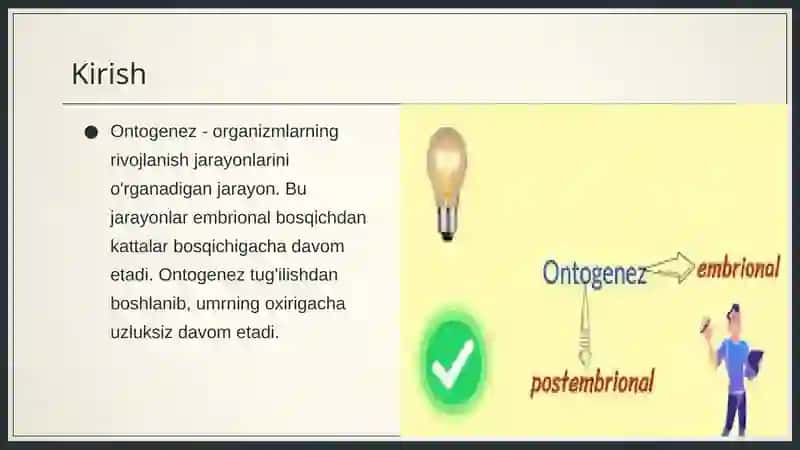 Ontogenez haqida umumiy tushunchalar 3