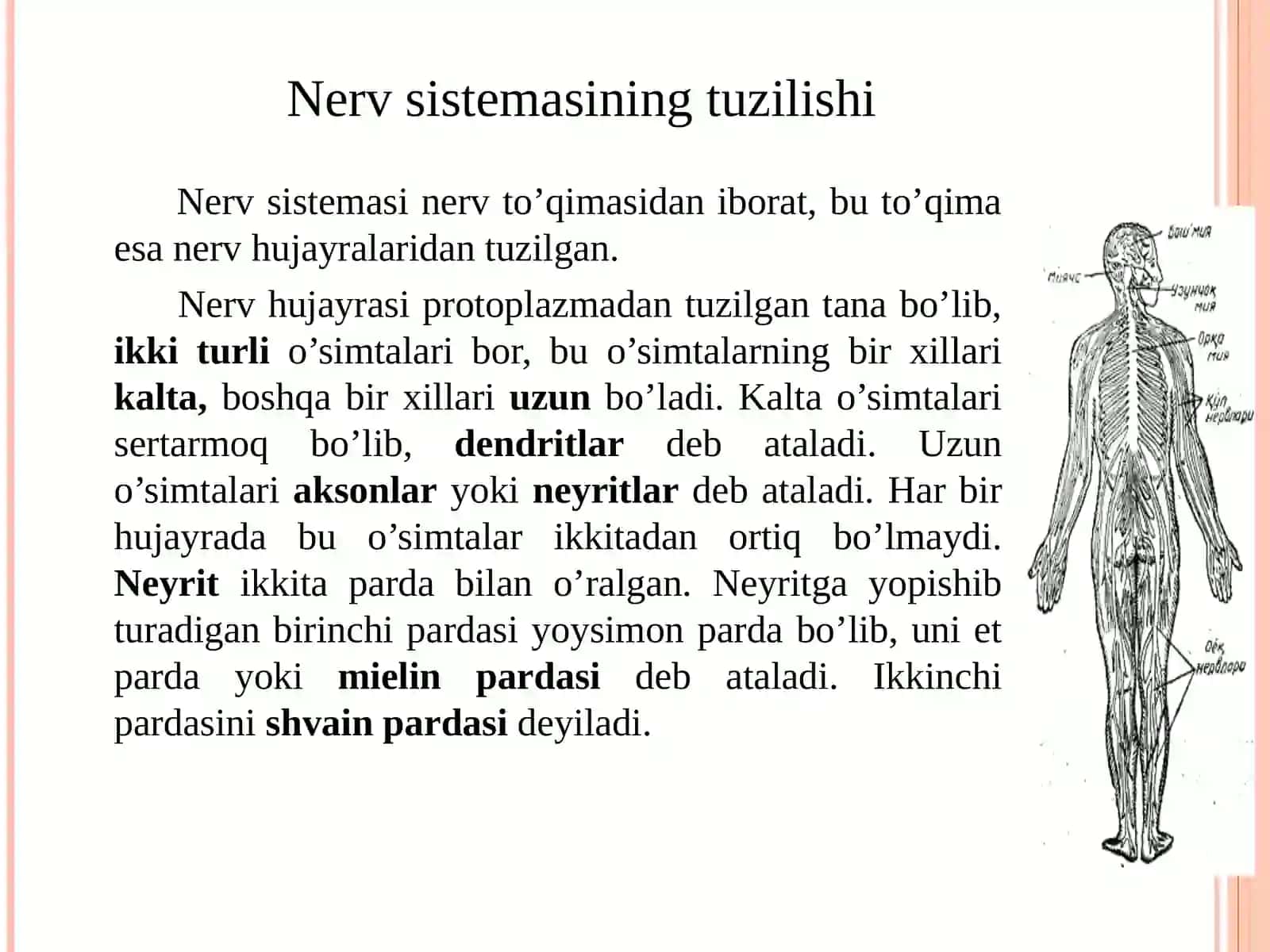 XULQ-ATVORNING PSIXOFIZIOLOGIK ASOSI 3