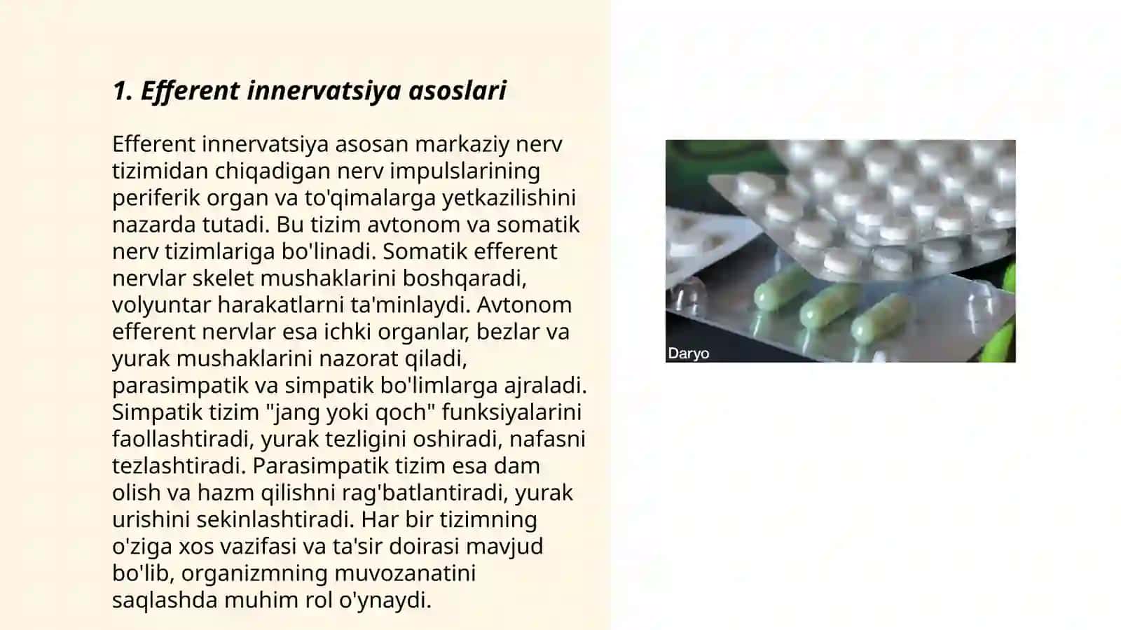Efferent innervatsiya Moxolinoretseptorlarga 3