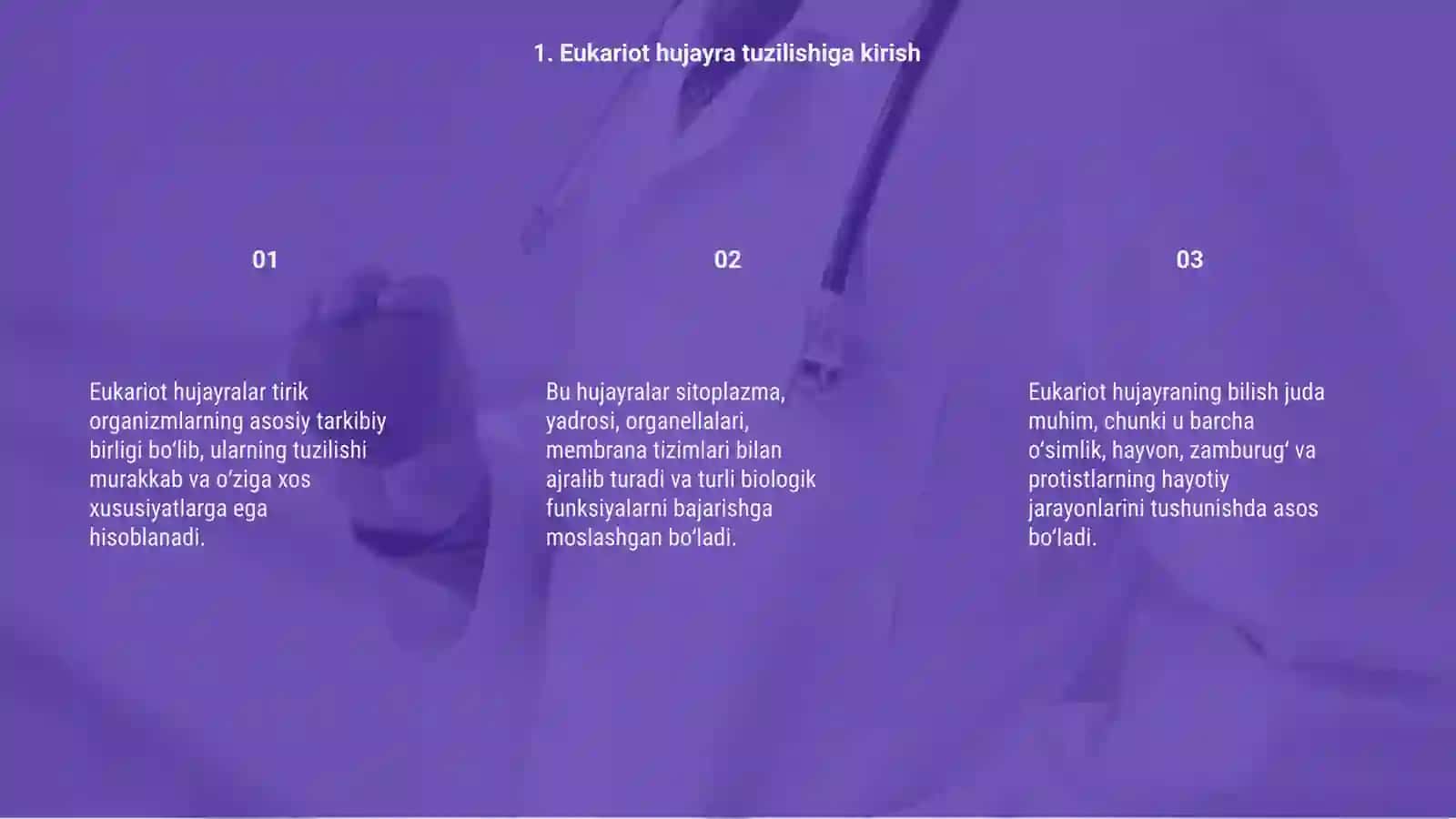 Eukariot hujayralarining ultra strukturaviy tuzilishi 3