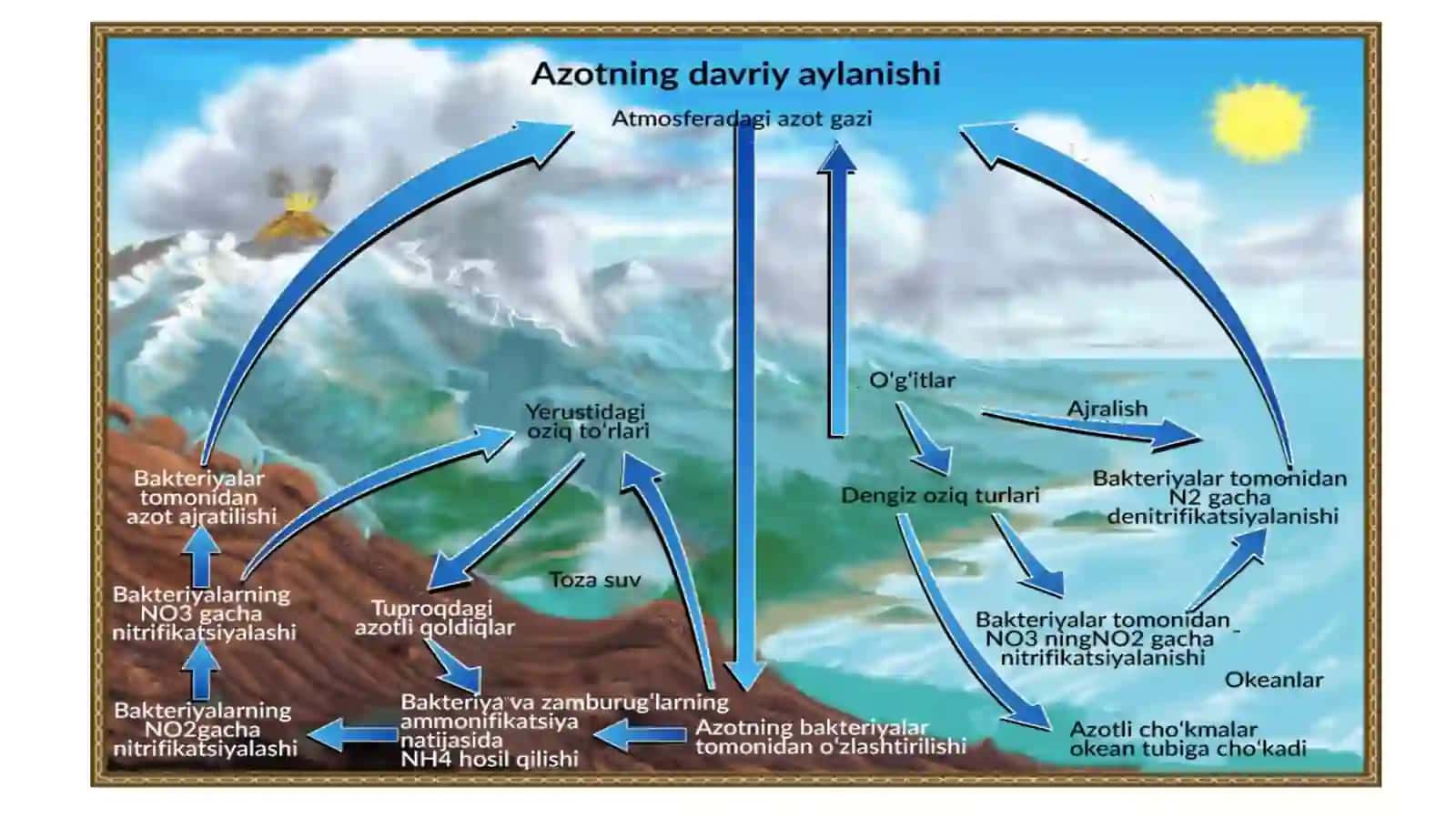 Atmosfera azotinibog‘lash muammosi va uning hal etilishi 3