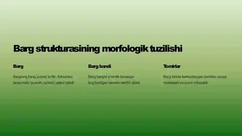 Prezentaciya (taqdimot) 3