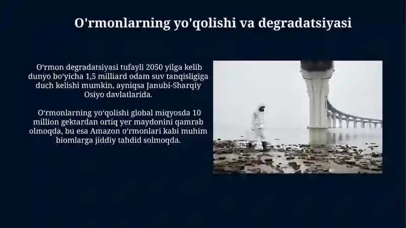 Ekologik Muammolar 3