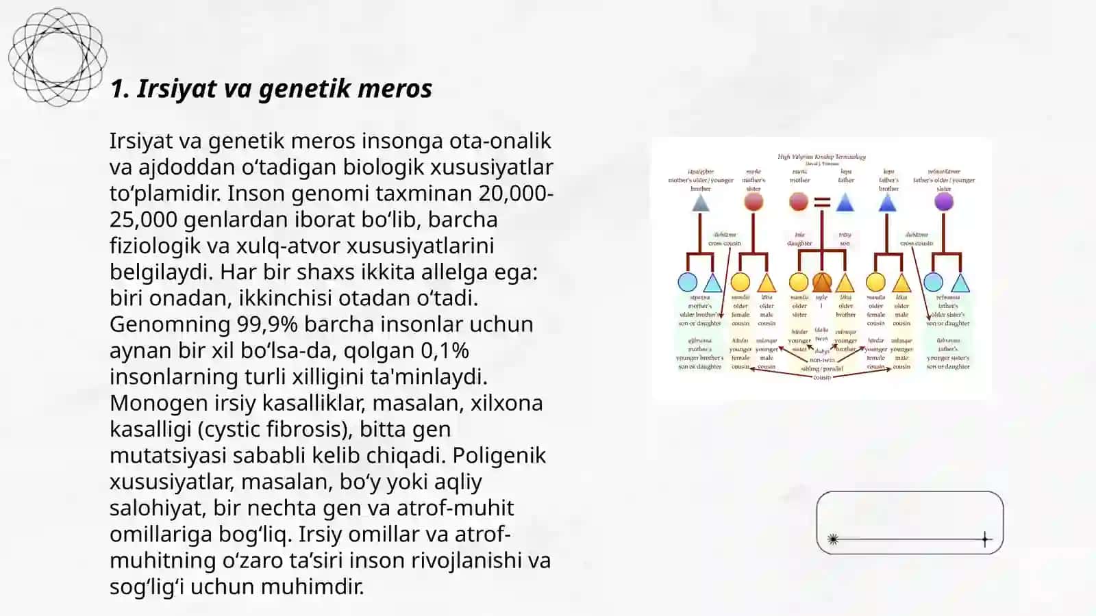 Irsiyat va qarindoshlik koefitsenti 3