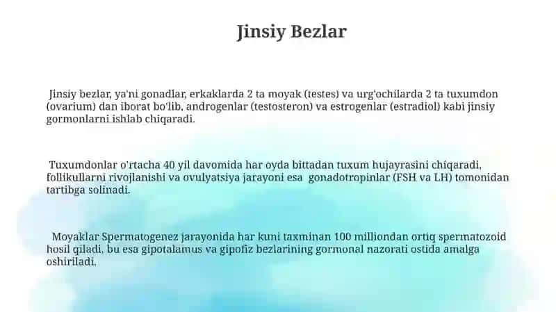 Endokrin sistemasi tuzilishi 3