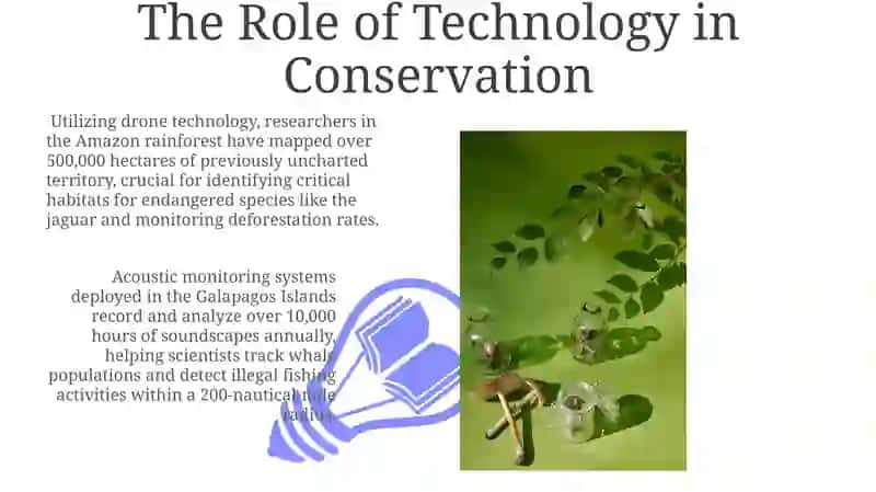 The Role of Technology in Conservation 3