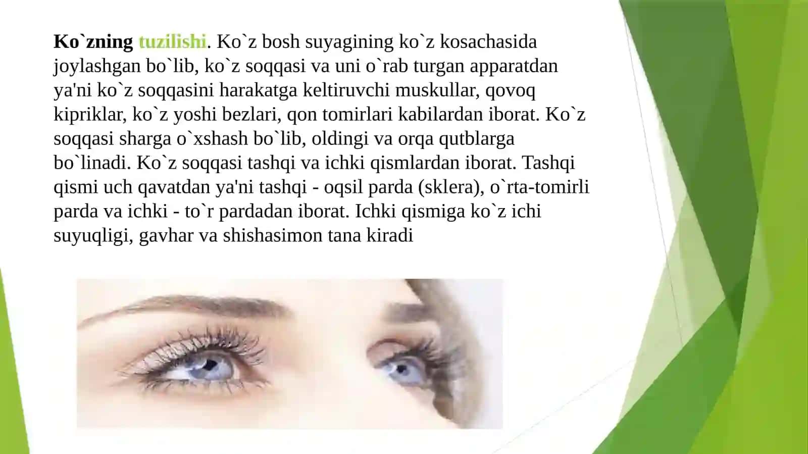 KO’RUV ANALIZATORI.KO’ZNING OPTIK QISMI 3