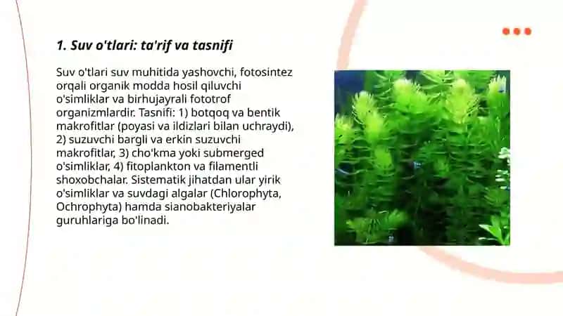 Suv o'tlari: ta'rif va tasnifi 3