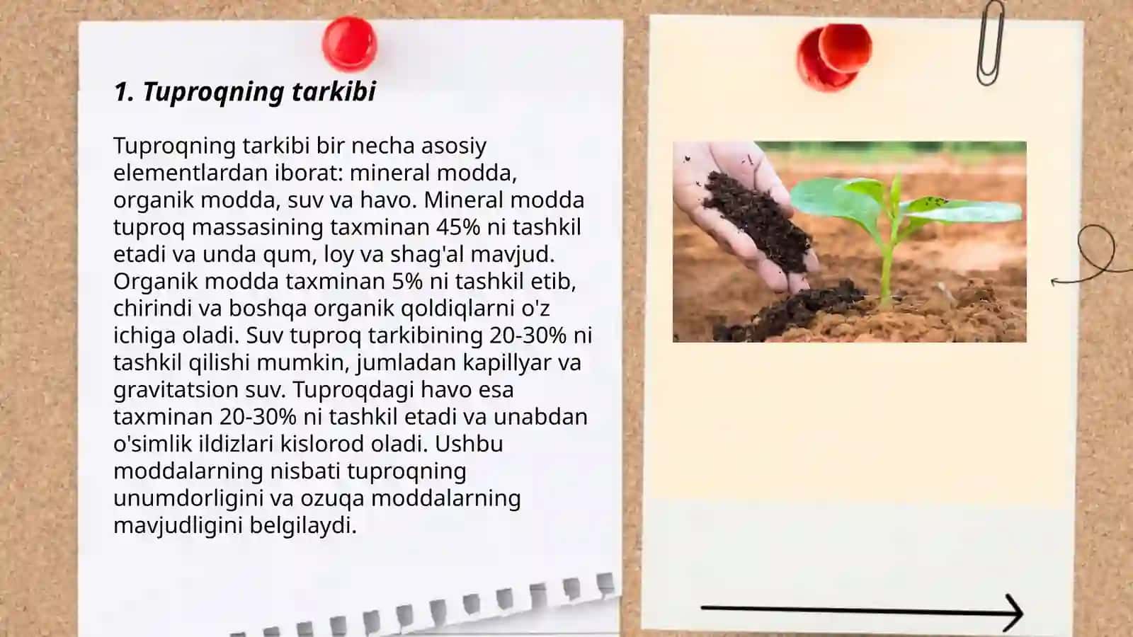 Tuproq turlari 3