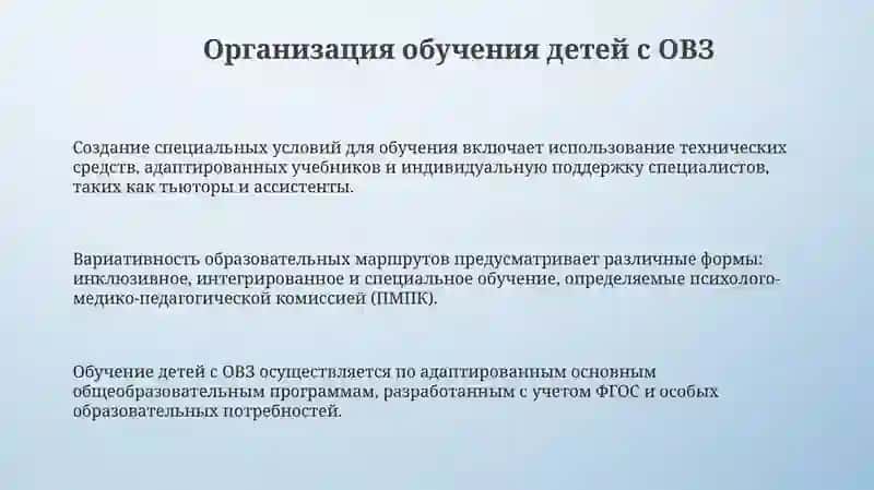 Организация обучения и воспитания детей с ограниченными возможностями через инклюзивное образование 3