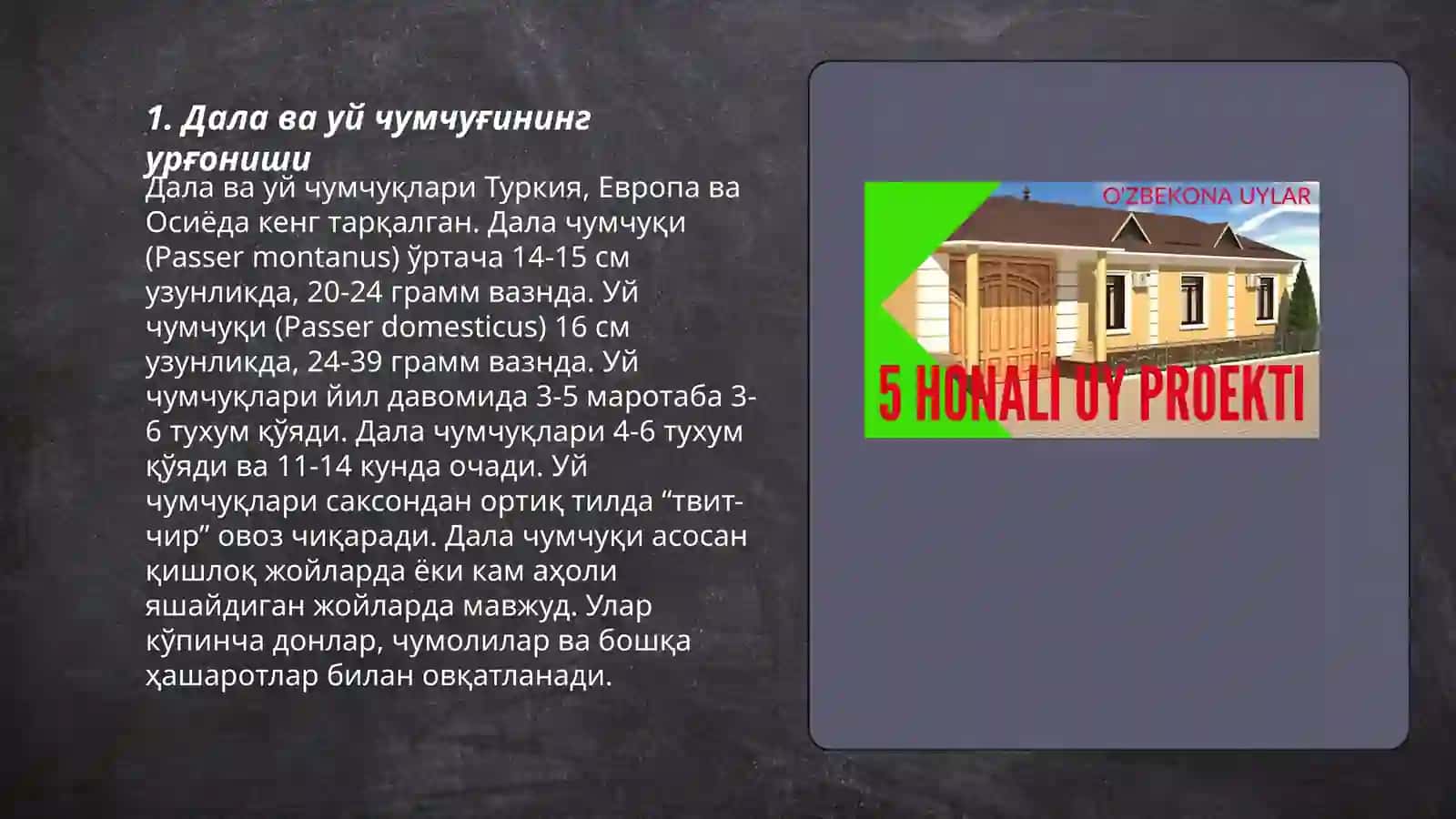 Дала ва уй чумчуқлари 3
