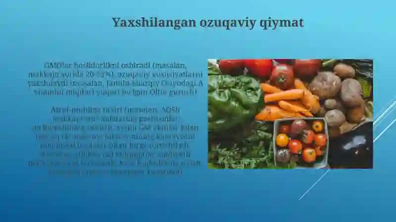 GMOlarning ekologik muammolari 3