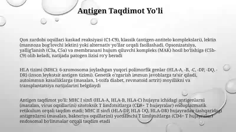 HLA- tizimi (MHC) 3