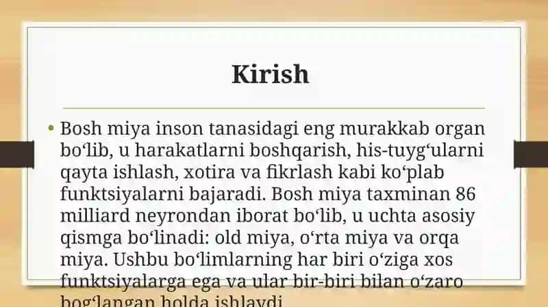 Bosh miya boʻlimlari va ularning funktsiyalari 3