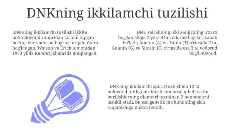 Nuklein kislotalarning tuzilishi 3