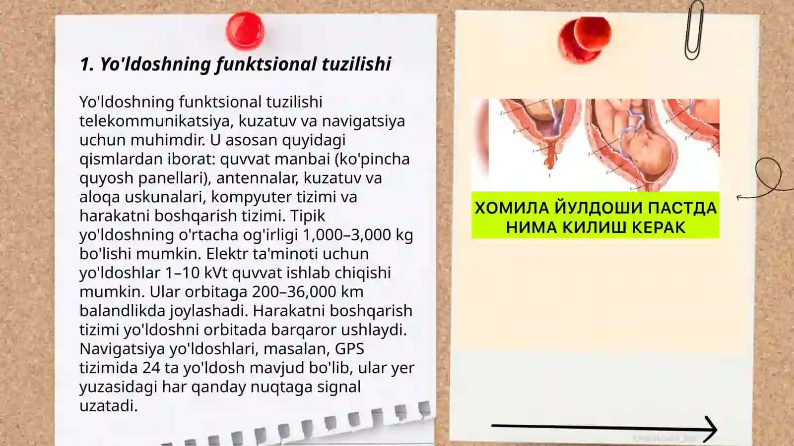 Yo'ldosh tuzilishi. Ona va homila sistemasi. Uning ahamiyati 3