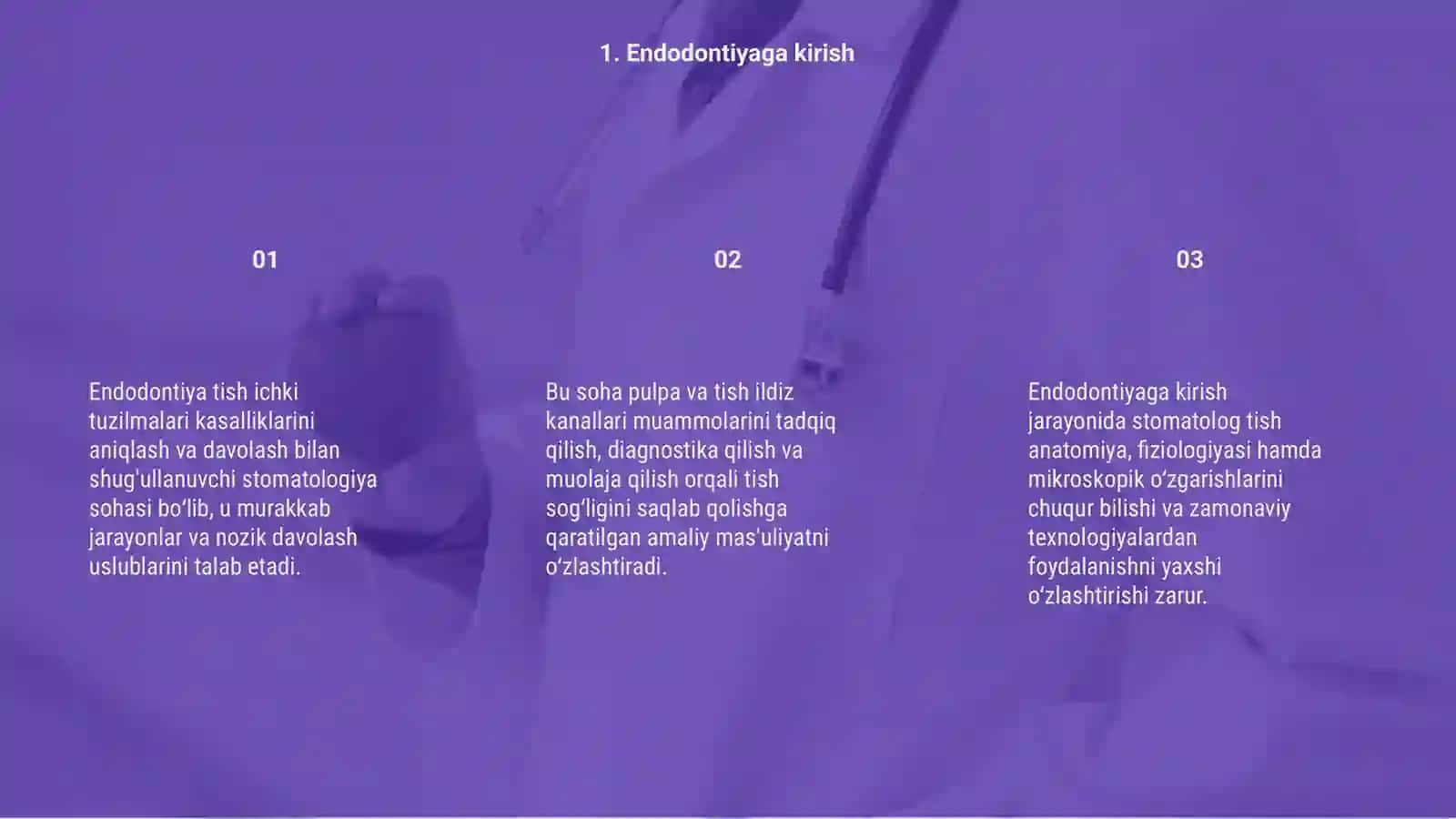 Ednodontiya 3