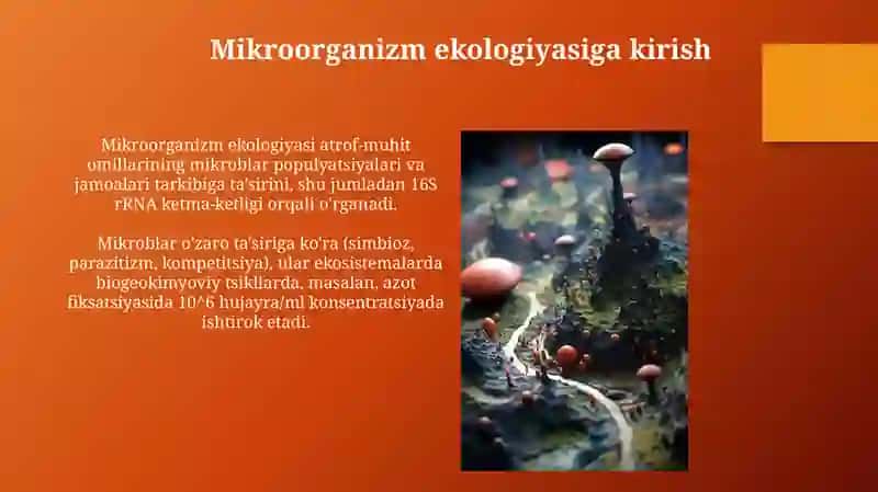 Mikroorganizm ekologiyasi 3