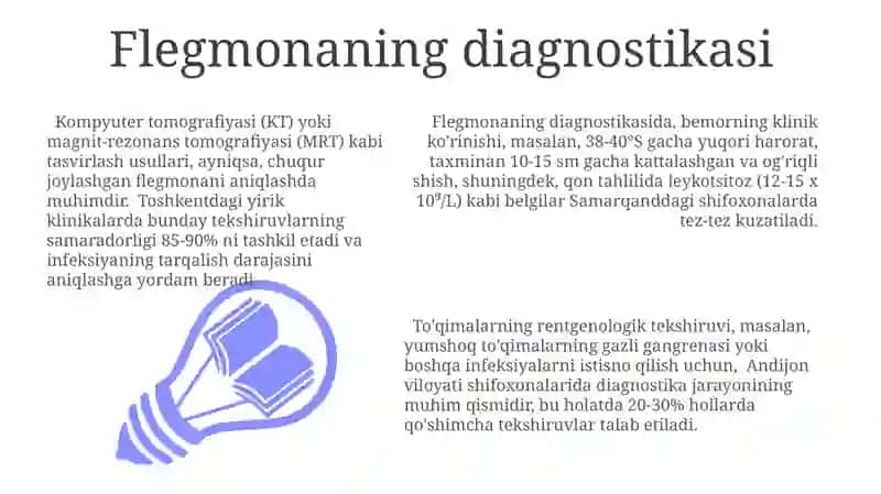 Flegmona 3