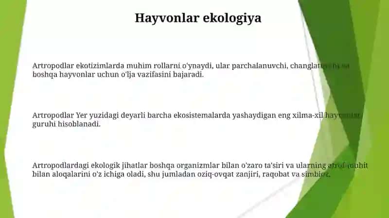 Boģimoyoqlilar tipi 3
