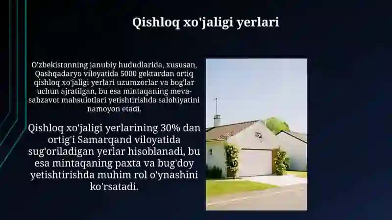Qishloq xo'jaligi yerlari 3