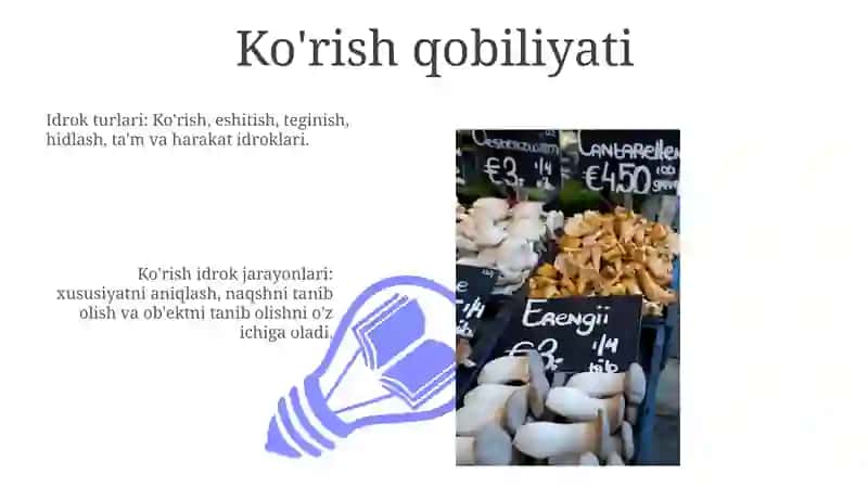 Sezgi turlari 3