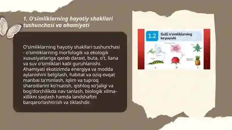 O'simliklarning hayotiy shakllari tahlili 3