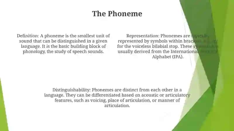 Phonological Aspect Of The English Speech Sounds 3