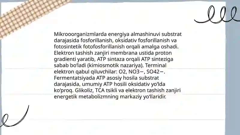 Mikrooorganizmlarning metabolizmi 3