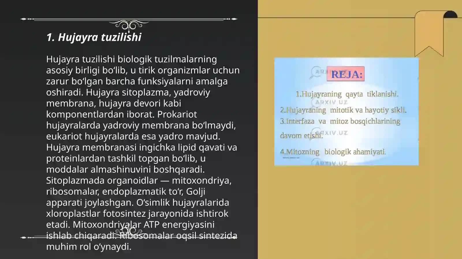 Hujayraning kimyoviy tarkibi 3