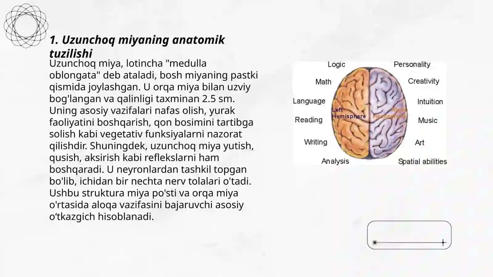 Uzunchoq miya funksiyalari 3