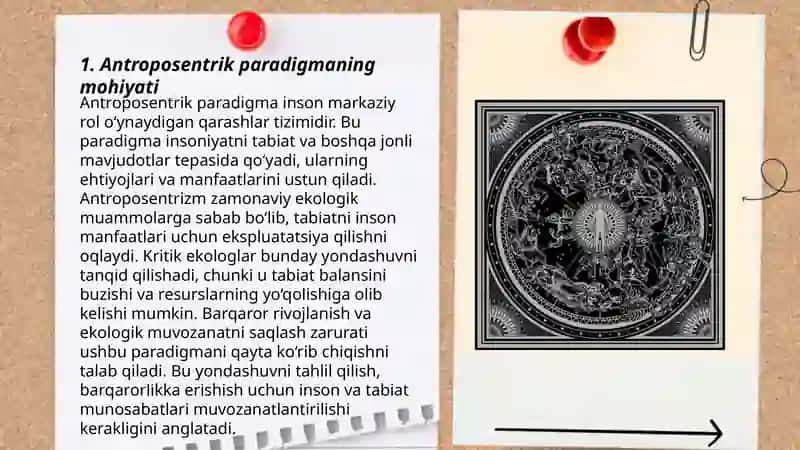 Antroposentrik paradigma 3