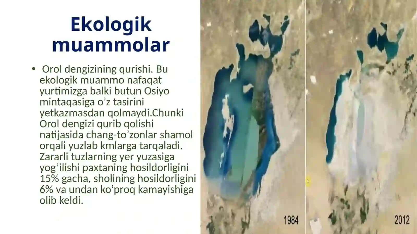 Ekologik muammolar va ularning yechimi 3