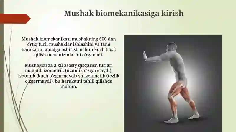 Mushak Biomekanikasi 3