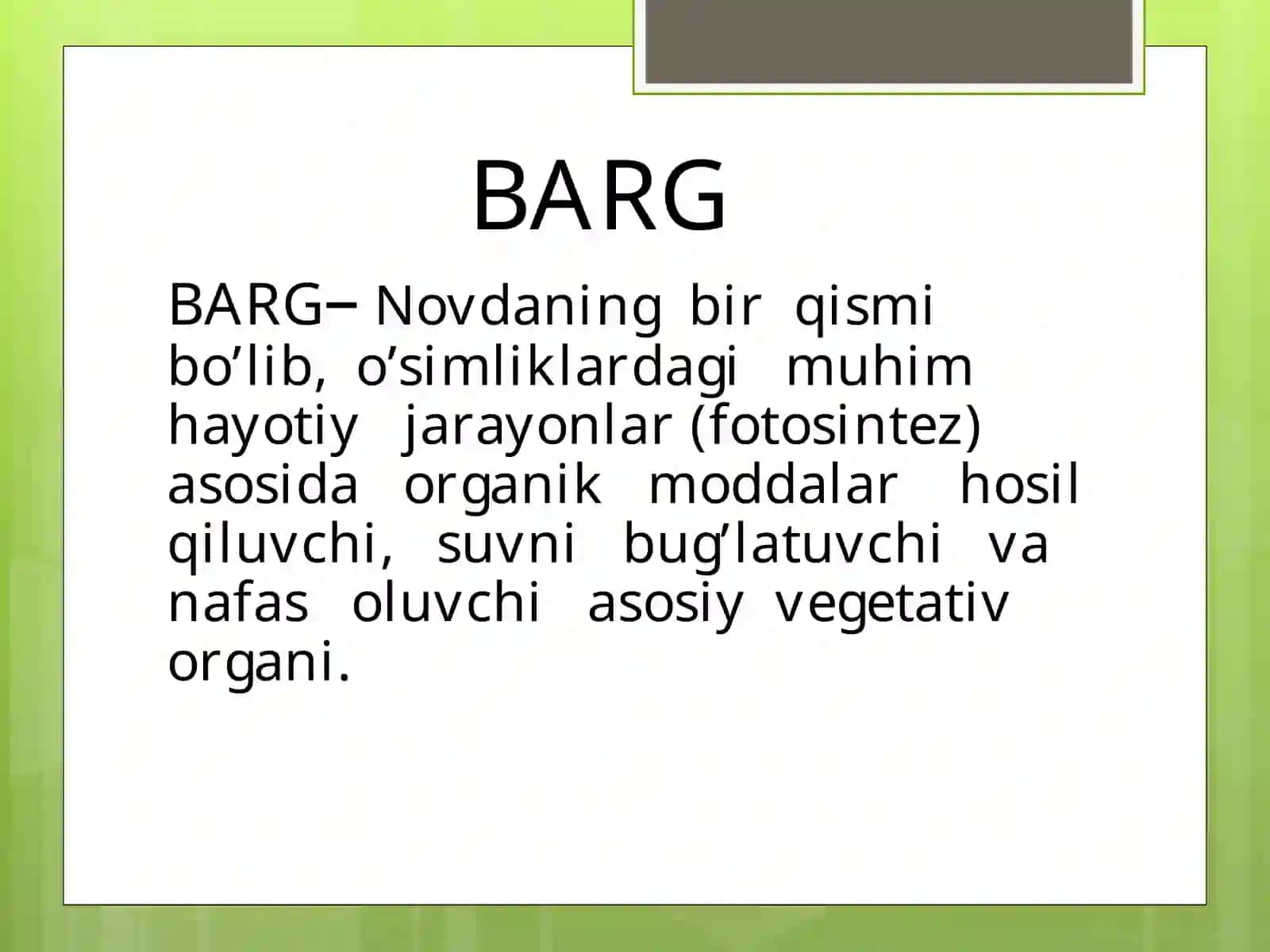 BARG 3