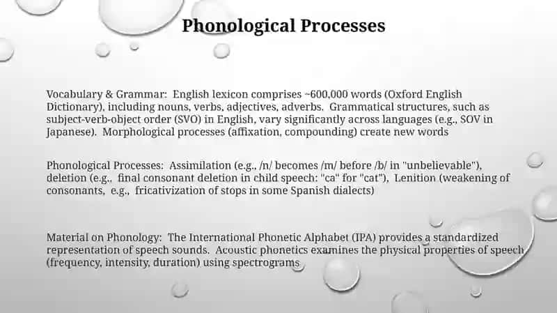 Material on phonology, vocabulary, grammar 3