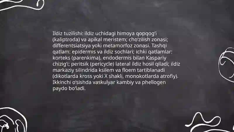 Ildiz va ildiz sistemasi 3