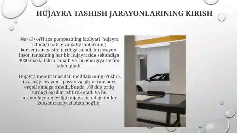 Hujayradagi transport jarayonlari 3