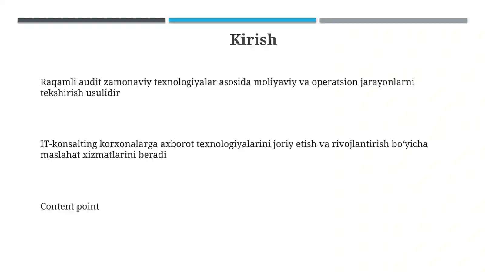 Raqamli audit va IT-konsalting xizmatlari 3