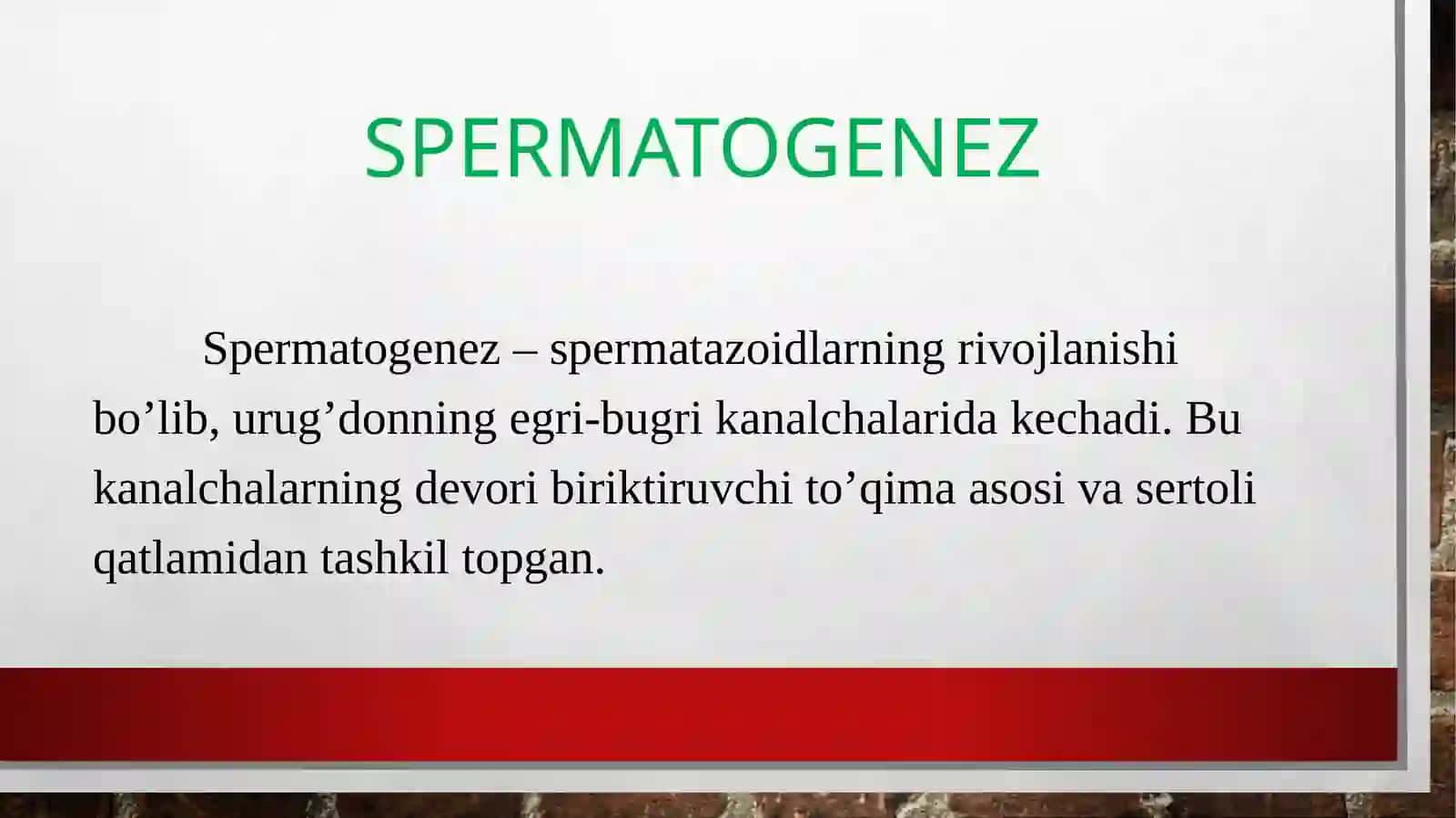 Proemrionalrivojlanish 3